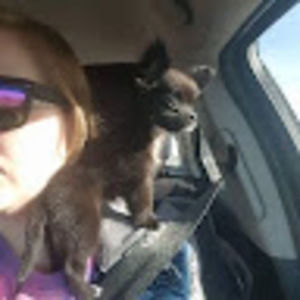 Meet your Posher, Anna